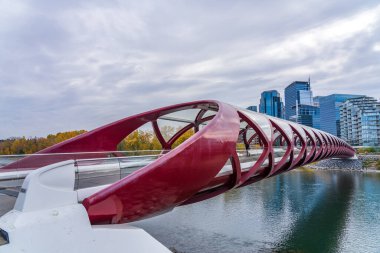 Prince 's Island Park Peace köprüsü. Calgary Bow nehir kıyısında sonbahar yeşillik manzarası, Alberta, Kanada.