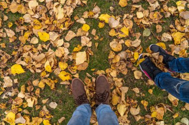 Düşen sonbahar kurumuş yaprakları yerde insanlar ayaklarıyla ve ayakkabıları çimlerin üzerinde duruyor. Yukarıdan üst görünüm, sonbahar konsept arkaplan.