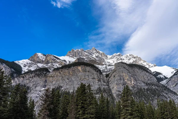 Bosque de pinos verdes y montaña cubierta de nieve. Cielo azul y nubes blancas en el fondo. Hermoso paisaje natural. — Foto de Stock