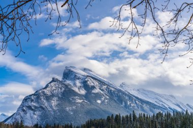 Karlı ormanlı, karla kaplı Rundle Dağı. Banff Ulusal Parkı kışın güzel manzarası. Kanada Kayalıkları, Alberta, Kanada.