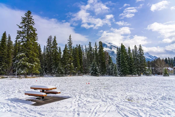 Snowy wooden bench in Banff Recreation Grounds in snowy winter. Banff National Park, Canadian Rockies, Alberta, Canada. — Stock Photo, Image