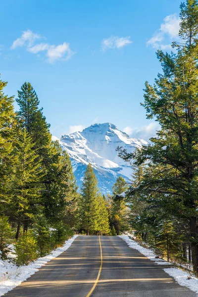 겨울 햇살이 따사 로운 아침 숲 속의 숲 속 도로입니다. 지루 아드 산이 배경이야. Banff National Park, Canadian Rockies, Alberta, Canada. — 스톡 사진