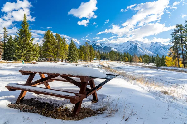 Tunnel Mountain Campground wooden bench in snowy autumn sunny day. Colorful yellow and green trees, snow-covered mountains. Banff National Park, Canadian Rockies. — Stock Photo, Image