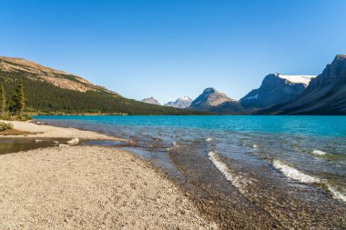 Yazın güneşli bir günde Bow Lake göl kıyısında. Bow Glacier, Banff Ulusal Parkı, Canadian Rockies, Alberta, Kanada.