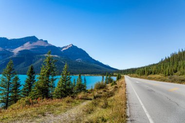 Alberta Karayolu 93 'teki Bow Gölü. Banff Ulusal Parkı, Kanada Kayalıkları, Alberta, Kanada.