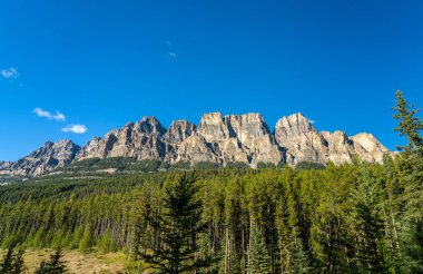 Castle Mountain Cliff bakış açısı yaz güneşli bir günde, Bow Valley Parkway, Banff Ulusal Parkı, Canadian Rockies, Alberta, Kanada.
