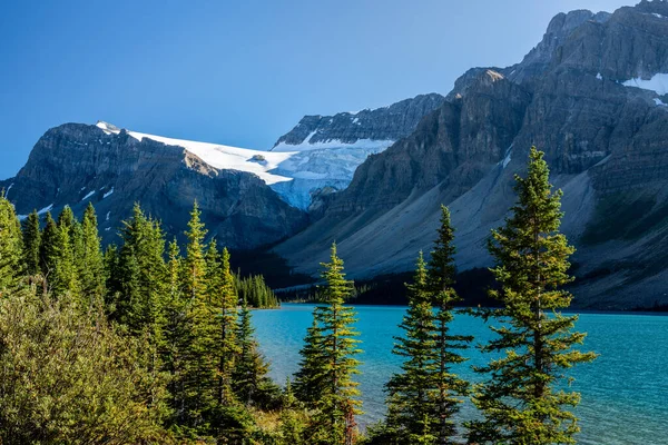 Bow Lake Lake Lake Hore a nyári napsütésben. Bow Glacier, Banff National Park, Canadian Rockies, Alberta, Kanada. — Stock Fotó