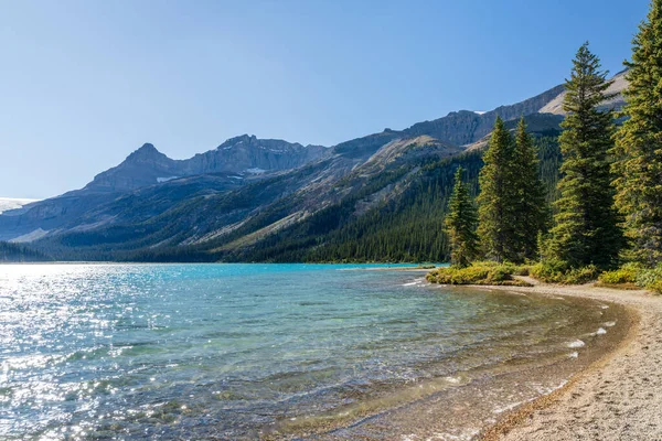 Боу-Лейк Лейшехор в літній сонячний день. Bow Glacier, Banff National Park, Canadian Rockies, Alberta, Canada. — стокове фото