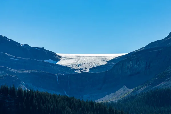 Bow Glacier above Bow Lake 는 2020 년 여름에 출시되었다. Banff National Park, Canadian Rockies, Alberta, Canada. — 스톡 사진