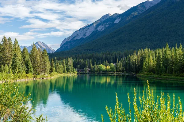 stock image Bow River Trail in summer time. Sulphur Mountain Range in the background. Beautiful nature scenery in Banff National Park, Canadian Rockies, Alberta, Canada.