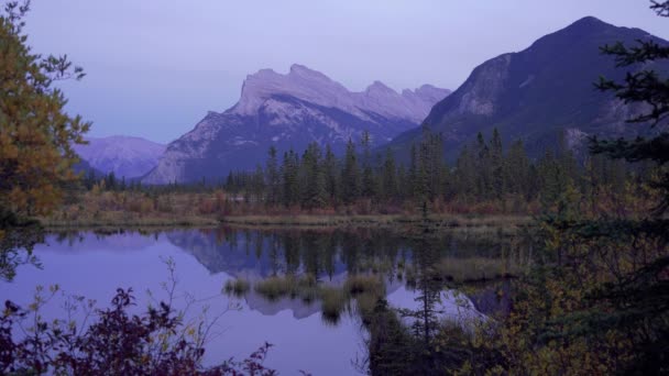 Vermilion Lakes Podzim Zeleň Scenérie Soumraku Banff National Park Canadian — Stock video