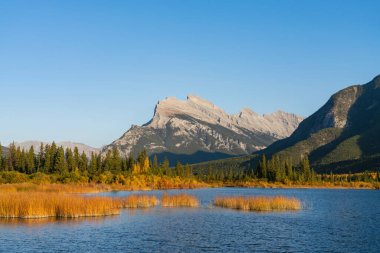 Vermilion Lakes and Mount Rundle autumn foliage scenery in sunset time. Banff National Park, Canadian Rockies, Alberta, Canada. Colorful trees and water plants with yellow, orange, golden colors. clipart