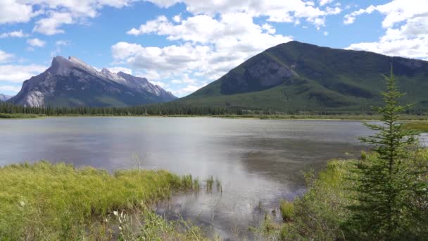 Parque Nacional Banff Bela Paisagem Vermilion Lakes Miradouro Hora Verão — Vídeo de Stock