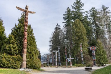 Stanley Park 'taki Totem Polonyalıları, Vancouver, British Columbia, Kanada.