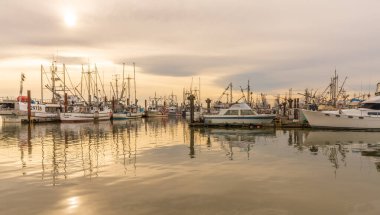 Richmond, BC, Kanada - MAR 13 2021: Steveston Limanı Balıkçı İskelesi.