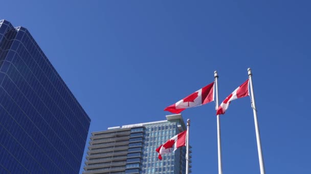 Εθνικές Σημαίες Του Καναδά Και Ουρανοξύστες Της Πόλης Του Βανκούβερ — Αρχείο Βίντεο