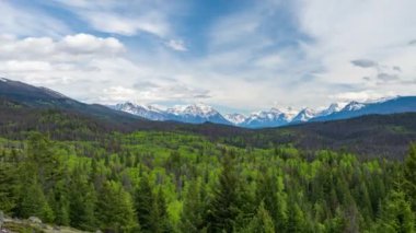 Yazın Jasper Ulusal Parkı 'nın güzel manzarası, Alberta, Kanada. Orman vadisi ve dağ sırasının manzarası.