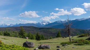 Yazın Edith Cavell Dağı ve Athabasca Vadisi Ormanı manzaralı. Jasper Ulusal Parkı Kanada Dağları sıradağları güzel manzara. Alberta, Kanada.