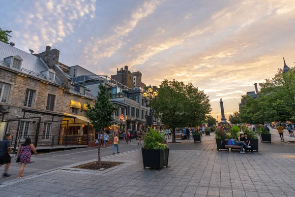 Montreal Quebec Canada Agosto 2021 Old Montreal District Street View — Foto Stock