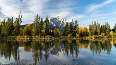 Sonbahar güneşli bir günde gün batımında Şelale Dağı. Nehir kenarındaki sarı yaprak ormanı. Central Park 'taki Bow River' da pembe bulutlar yansıyor. Banff Ulusal Parkı, Alberta, Kanada. Zaman aşımı 4K