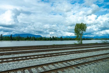 Jasper, Alberta, Kanada - Mayıs 12021 Kanada Ulusal Demiryolu yük treni. Kanada Kayalıkları, Jasper Ulusal Parkı.