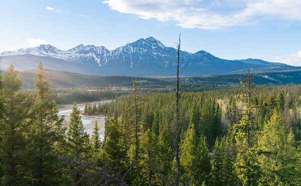 Jasper, Alberta, Canada - May 1 2021 : Canadian National Railway freight train. Canadian Rockies, Jasper National Park.