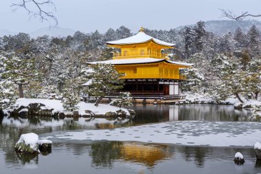 Snowy Kinkaku-ji Temple in winter. Famous tourist attraction in Kyoto, Japan. The Golden Pavilion, Kinkakuji, rokuon-ji, rokuon-ji. Snow landscape.