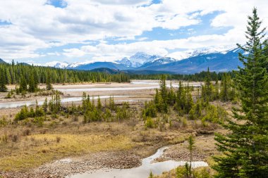 Canadian Rockies Jasper Ulusal Parkı büyüleyici doğa manzarası. Athabasca Nehri, yazın karla kaplı dağlar. Alberta, Kanada. Edith Dağı Hücresi.