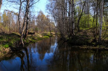 Bahar manzara orman nehir