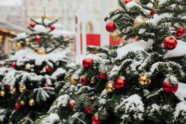 Şehir sokaklarında kırmızı ve altın toplarla süslenmiş Noel ağaçlarının dallarında kar. Noel pazarı.