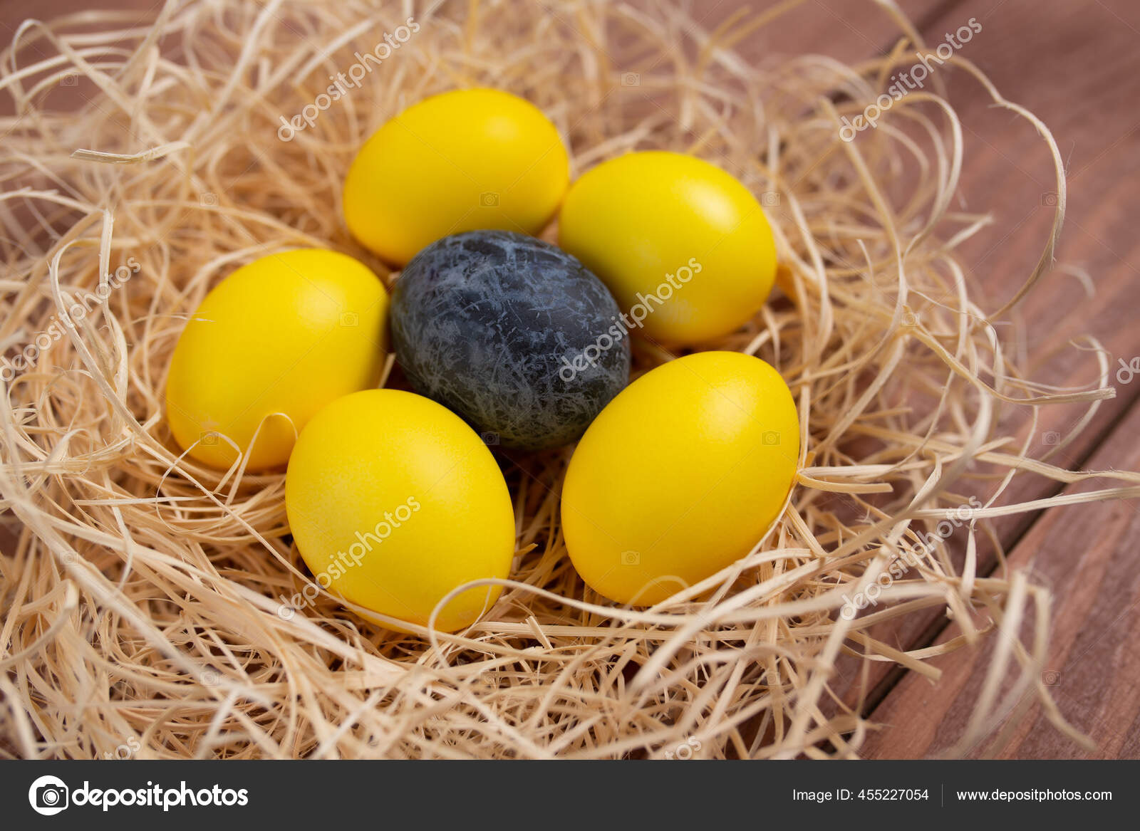 Yellow Eggs One Blue Marble Egg Nest Isolated Yellow Background Stock