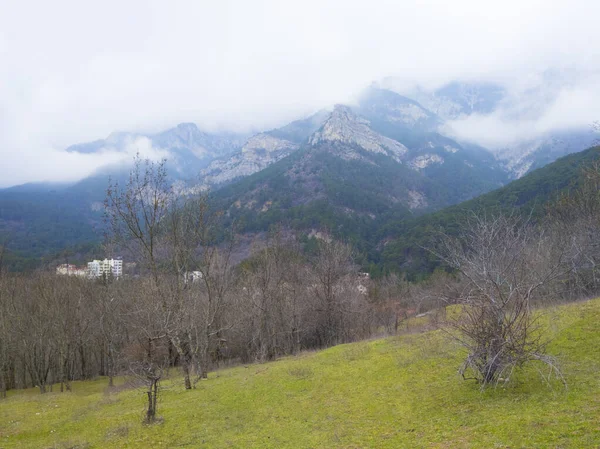 Nebelige Neblige Berglandschaft Einem Frühlingshaften Wald Mit Blattlosen Bäumen Und — Stockfoto