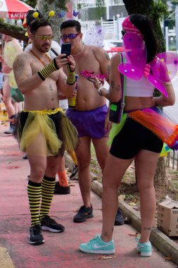 14 Şubat 2026.Centro, Florianopolis, Santa Catarina Brezilya. Karnaval kutlamaları sırasında LGBTQ sokak festivaline katılanlar. Bu güzel güneşli yaz gününde kalabalık ve genel atmosfer samimiydi..