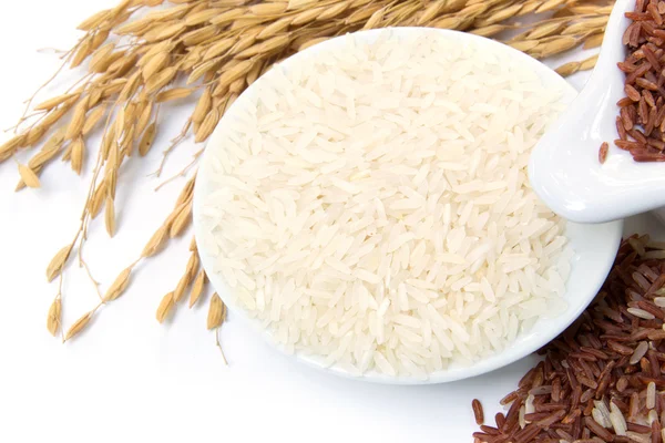 水稻、 糙米、 白米 — 图库照片