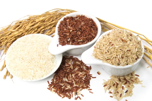 水稻的分类 — 图库照片
