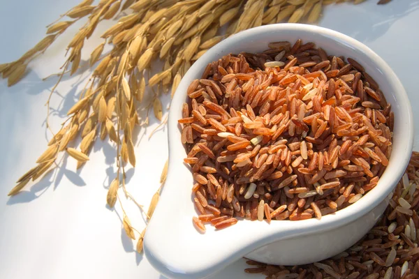 水稻、 糙米、 白米 — 图库照片