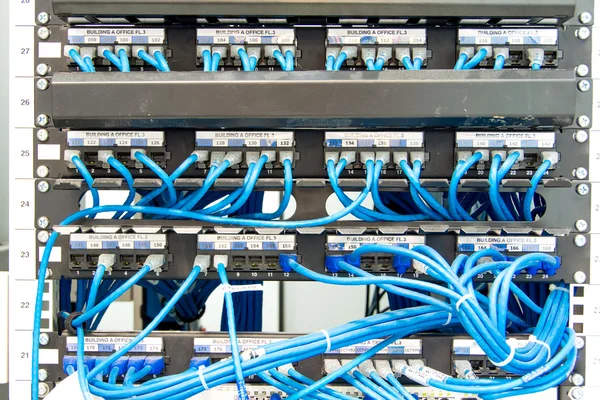 Letectvu ethernet kabely a síťový vypínač — Stock fotografie