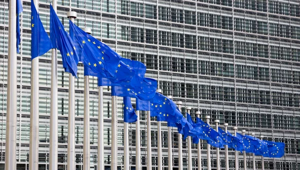 EU flags Brussels — Stock Photo, Image