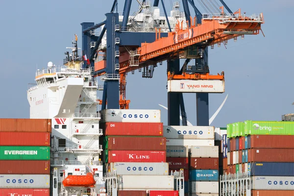 Port Rotterdam Kranverschiffung — Stockfoto