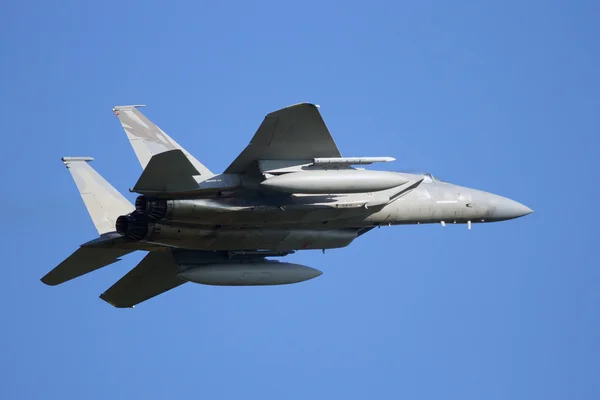 Guardia Nacional Aérea de California F-15 — Foto de Stock