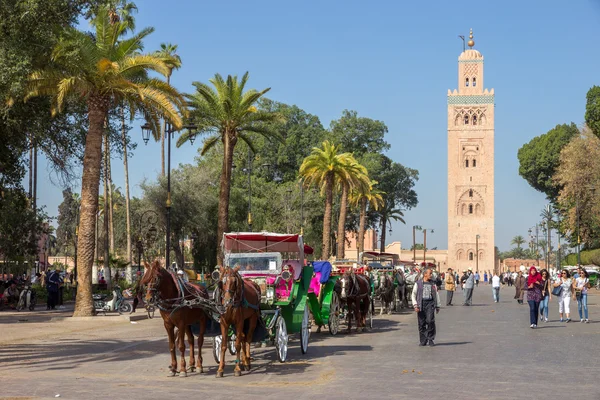 Carruagens puxadas a cavalo Marrakech — Fotografia de Stock