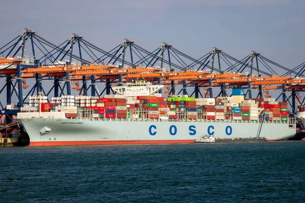 Контейнерное Судно Cosco Загружается Портальными Кранами Терминале Судоходства Ect Порту — стоковое фото