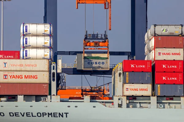 Operador Gruas Que Descarrega Contentor Marítimo Navio Carga Porto Roterdão — Fotografia de Stock