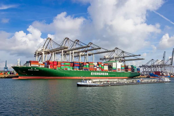 Containerschiff Ever Lyric Von Evergreen Macht Ect Containerterminal Hafen Von — Stockfoto