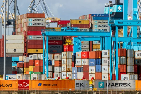 Nakliye Konteynerleri Rotterdam Limanı Ndaki Yeni Maasvlakte Deki Apm Terminali — Stok fotoğraf