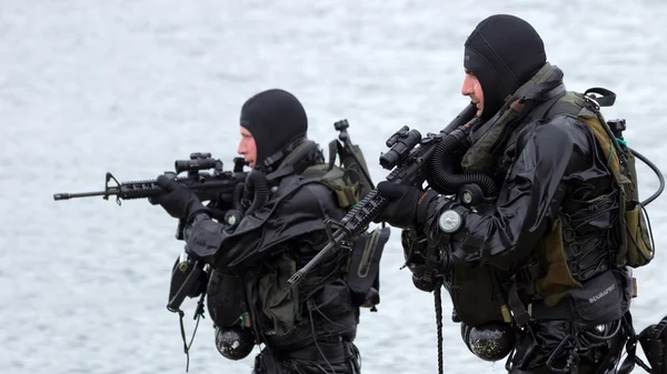 Navy seals — Stock Photo, Image