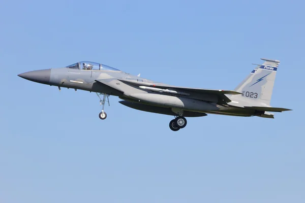 Florida Ang F-15 — Stockfoto