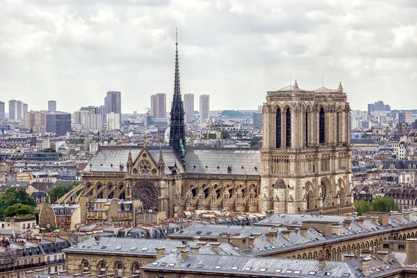 Notre lady — Stok fotoğraf