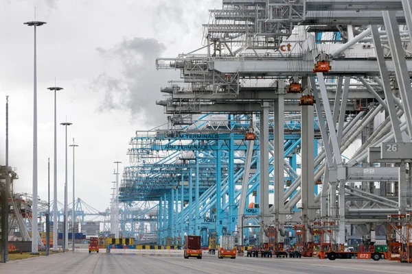 Kontejnerový terminál Rotterdam přístavní — Stock fotografie