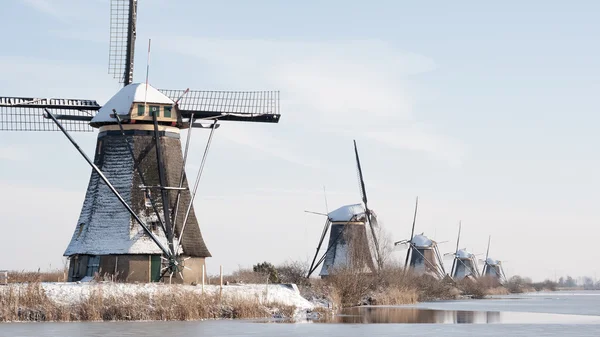 Wiatrak w Kinderdijk — Zdjęcie stockowe